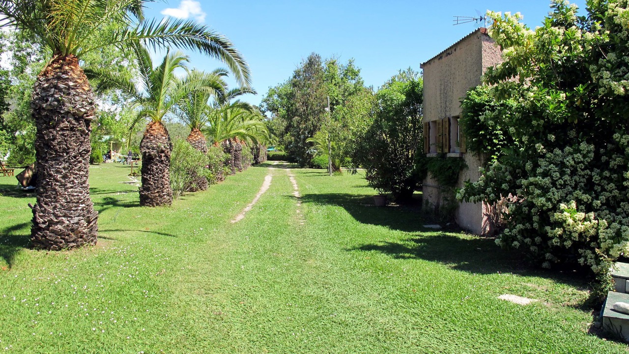 Photo of Others in Talasani