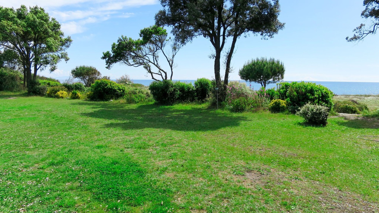 Photo of Others in Talasani