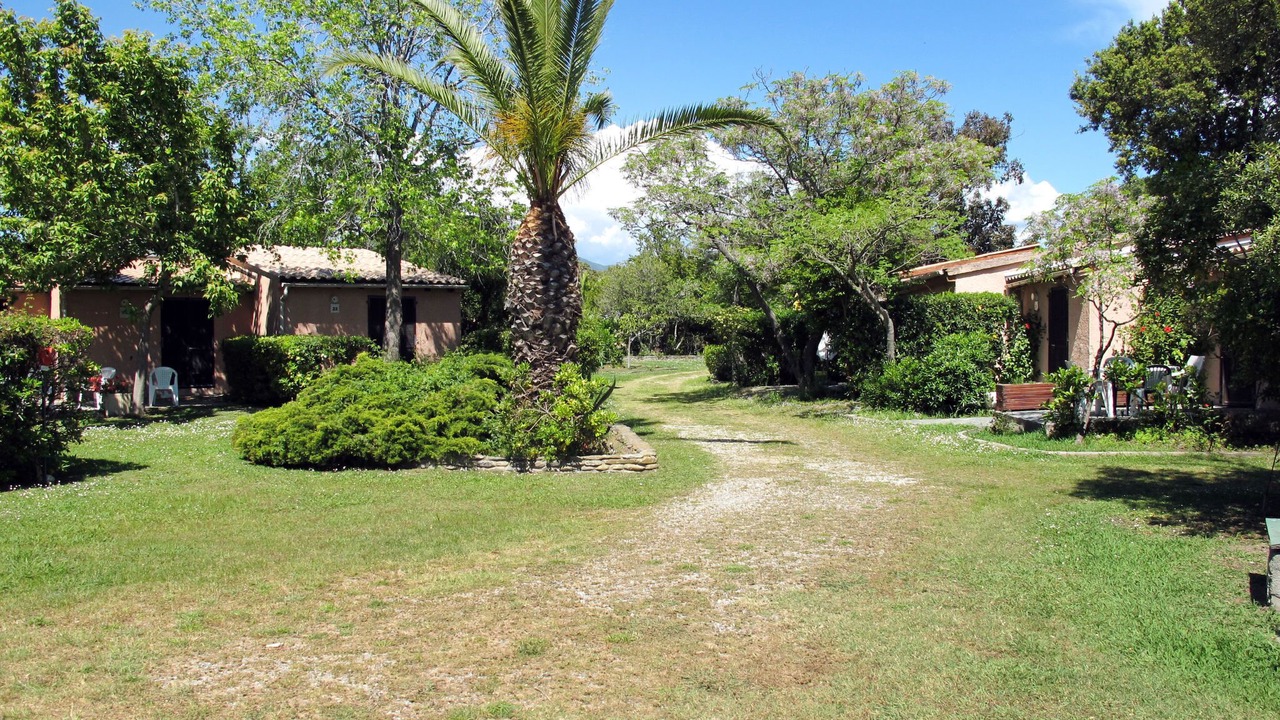 Photo of Others in Talasani