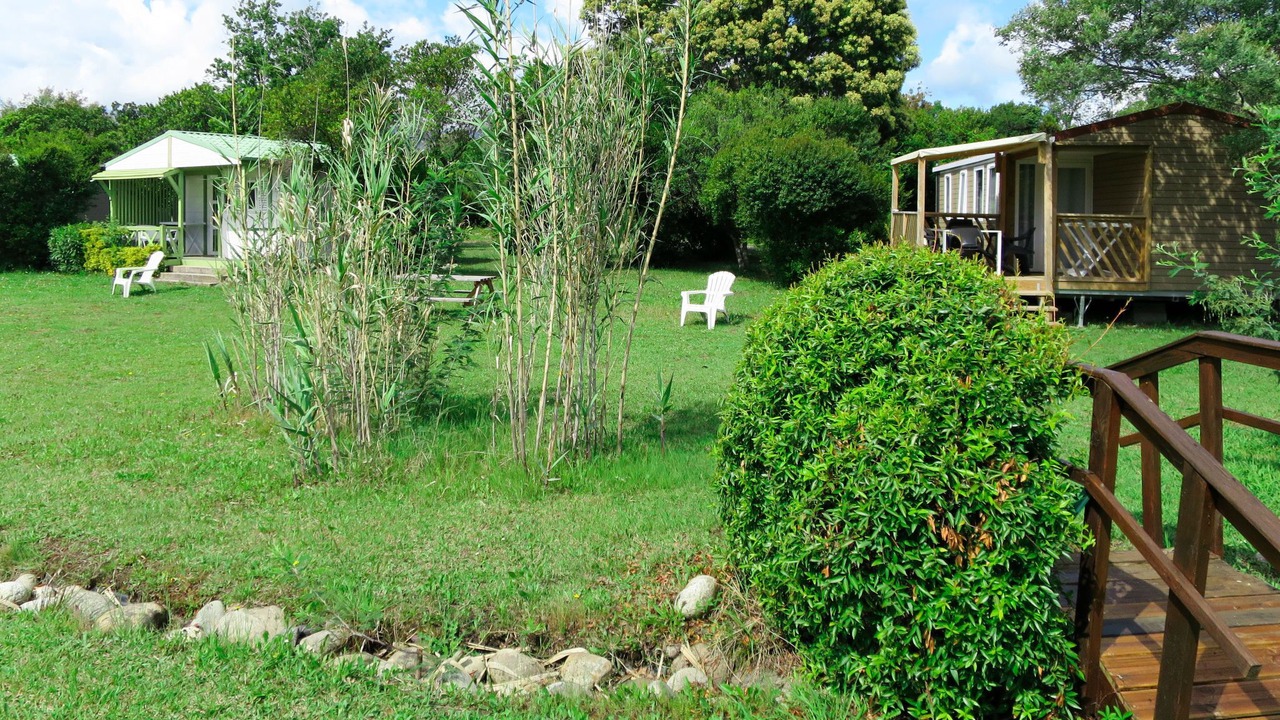 Photo of Others in Talasani