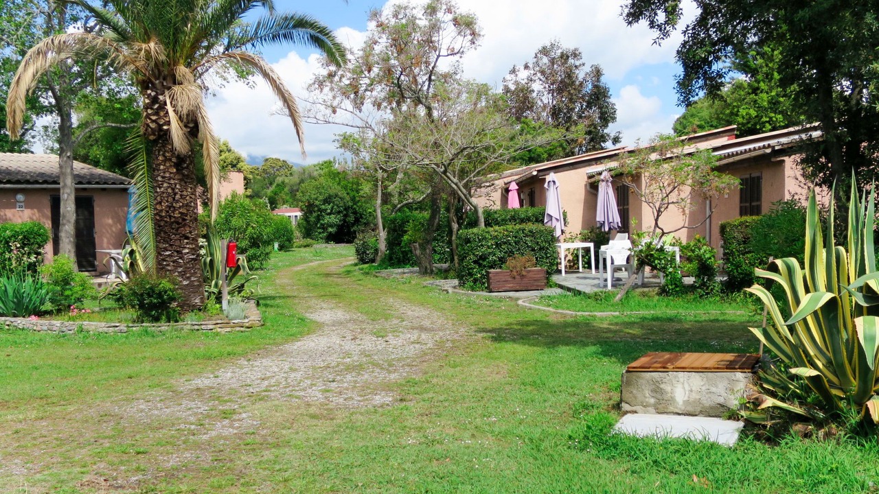 Photo of Others in Talasani