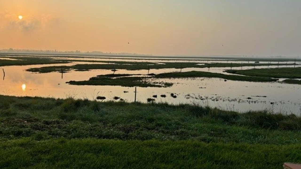 Photo of Others in Vains