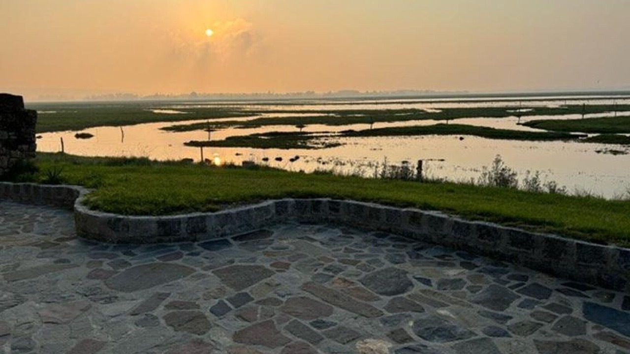 Photo of Others in Vains