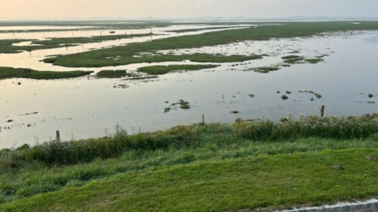 Photo of Others in Vains