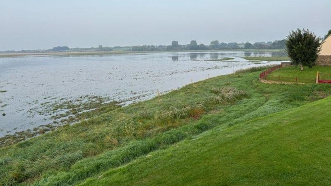 Photo of Others in Vains