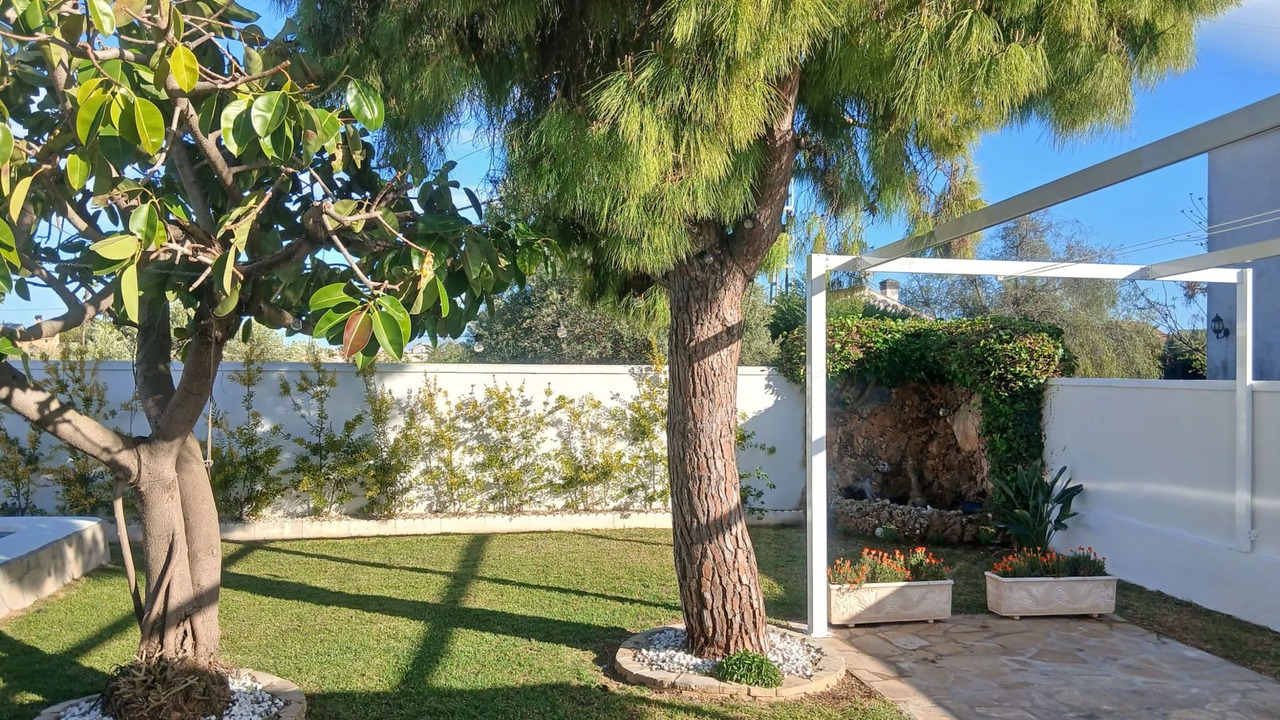 Photo of Outdoor in Vinaros