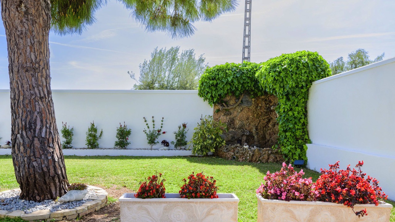 Photo of Outdoor in Vinaros