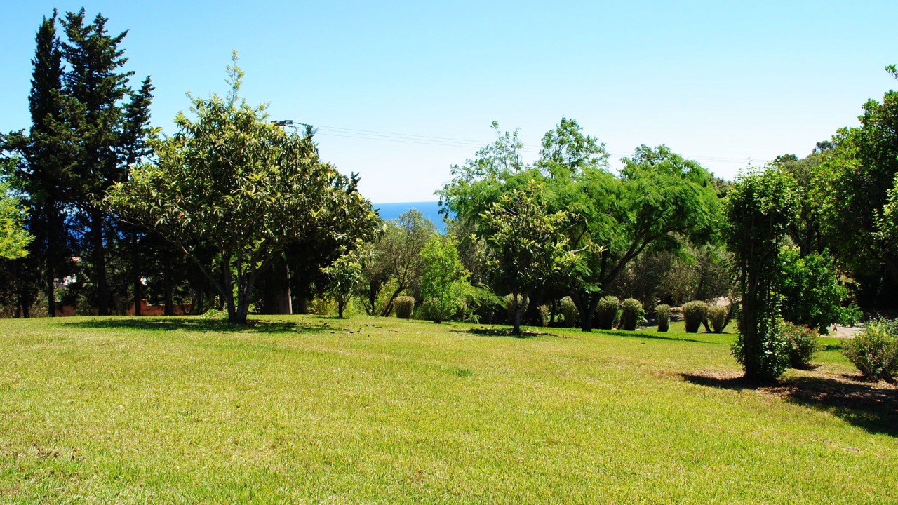 Photo of Outdoor in Cervione