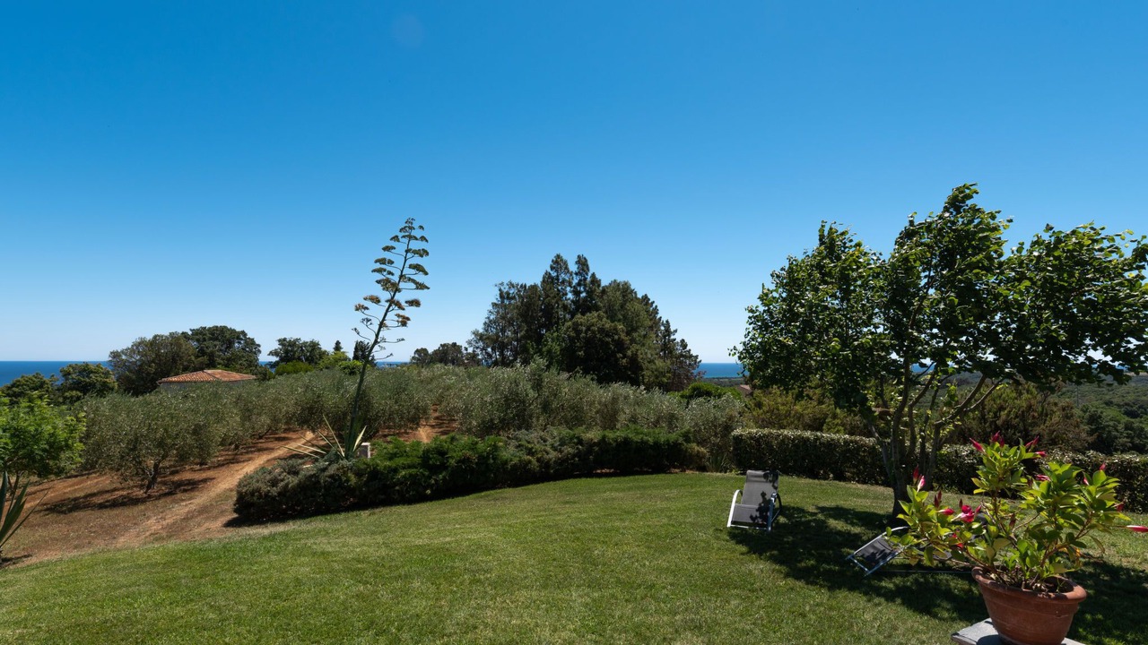 Photo of Others in Cervione