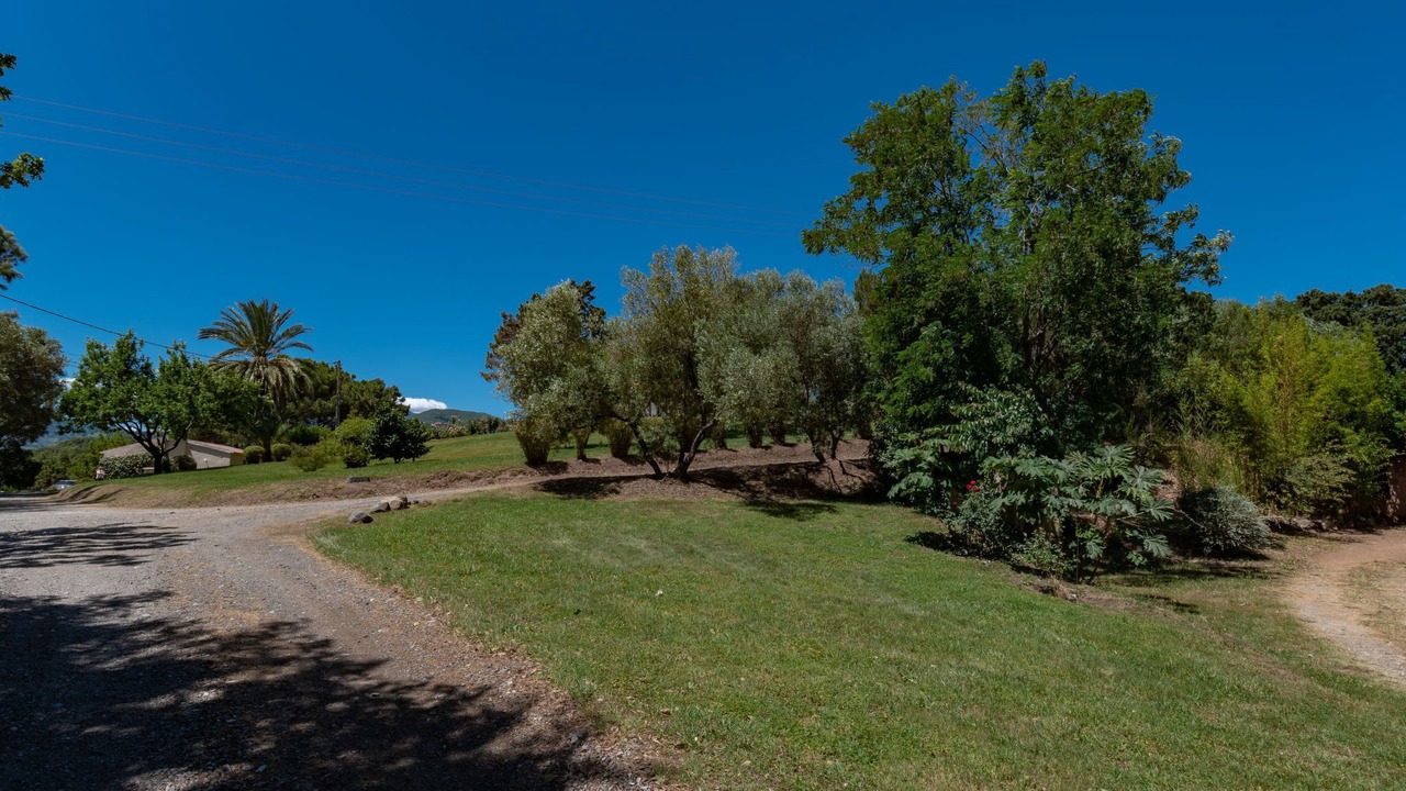 Photo of Others in Cervione