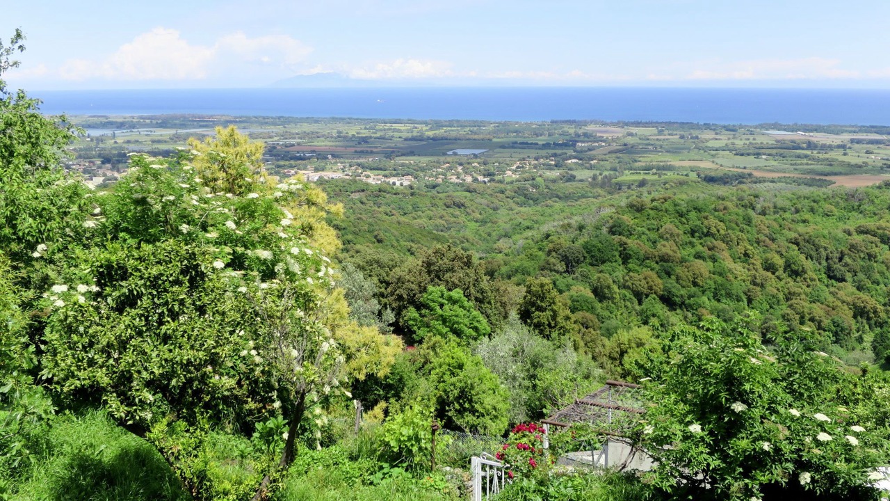 Photo of Outdoor in Cervione