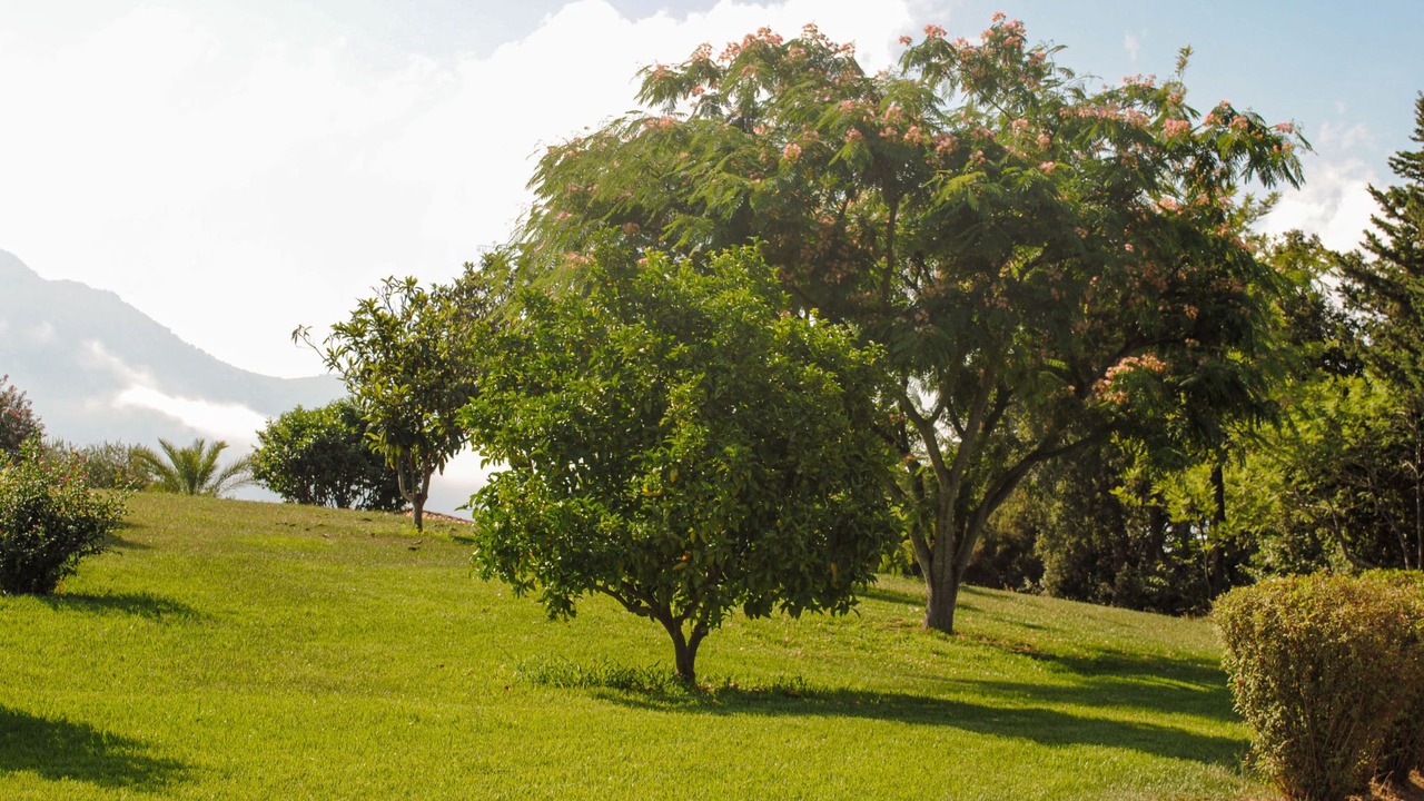 Photo of Outdoor in Cervione