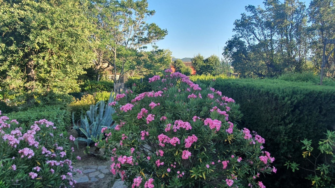 Photo of Others in Les Restanques