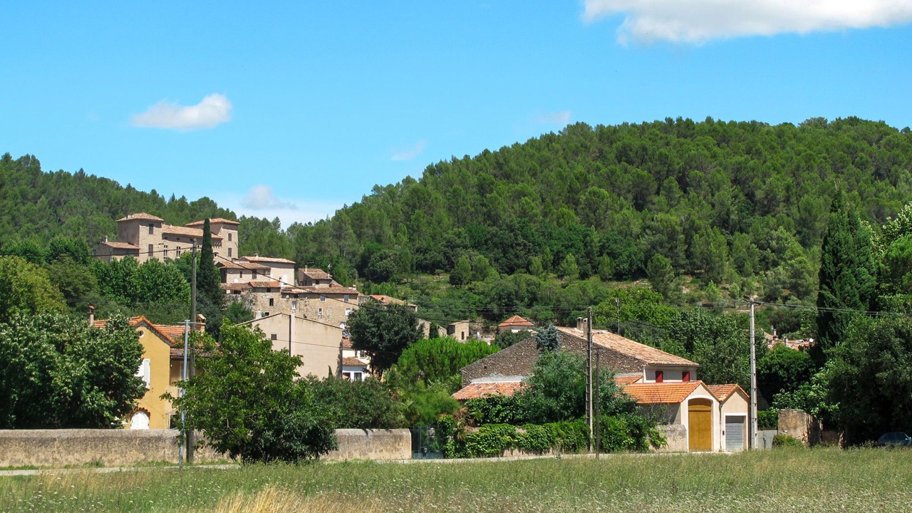 Photo of Others in Montfort-sur-Argens