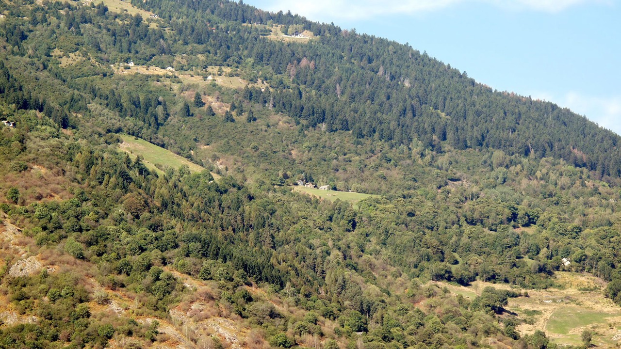 Photo of Others in Malvaglia-dagro