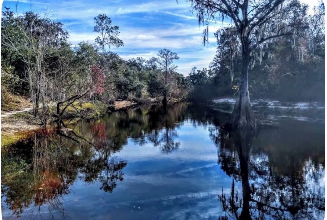 Photo of Others in Brooksville