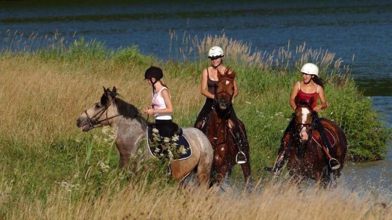 Photo of Outdoor in Eppe-Sauvage