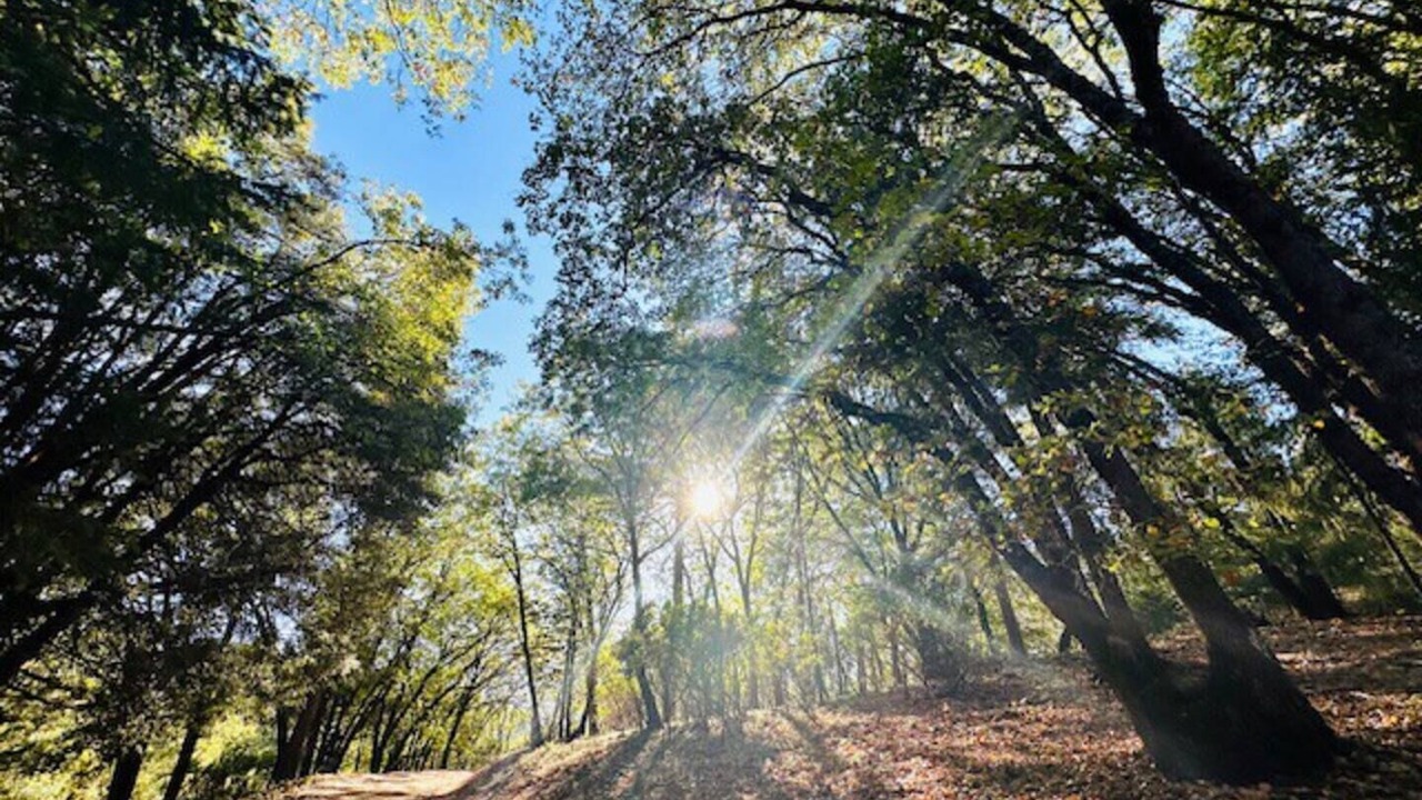 Photo of Outdoor in Cedar Ridge