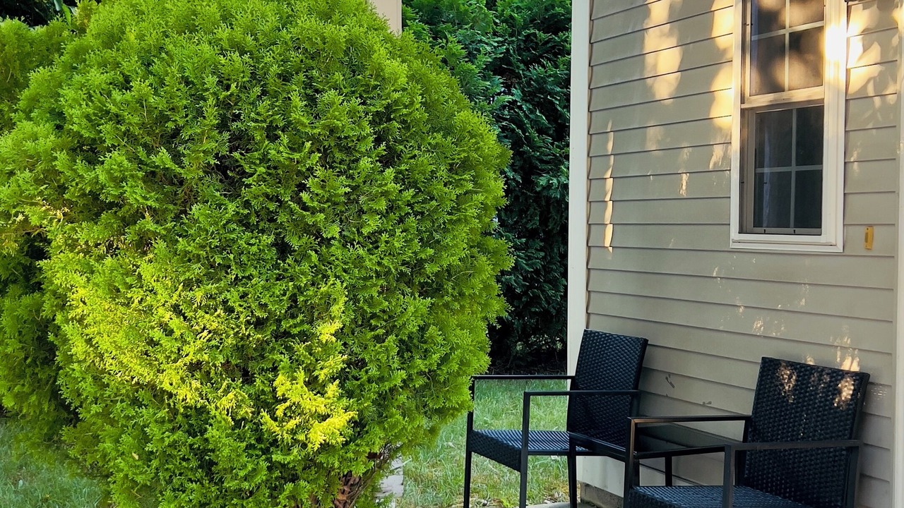 Photo of Patio Balcony in Worcester