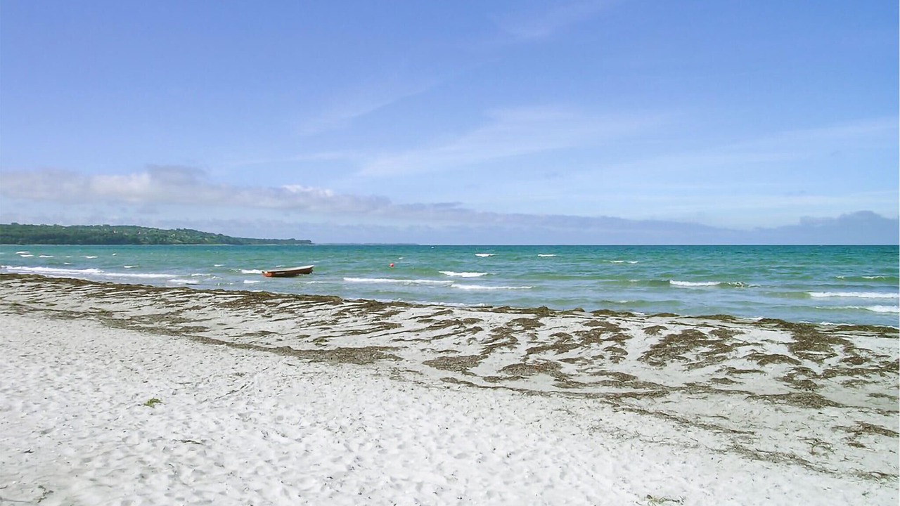 Photo of Others in Hoeve Strand
