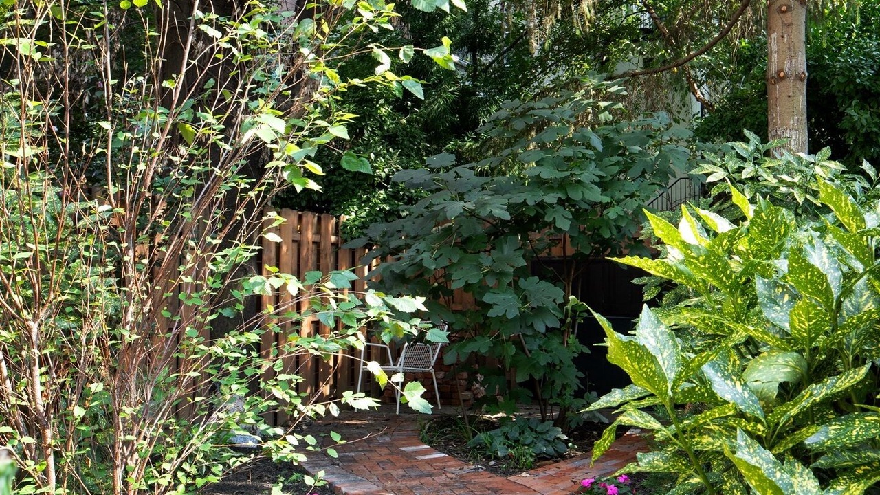 Photo of Outdoor in Bedford-Stuyvesant