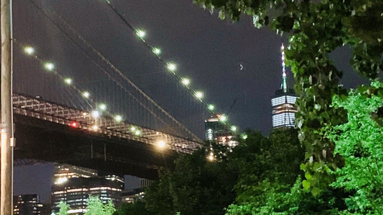 Photo of Others in Bedford-Stuyvesant