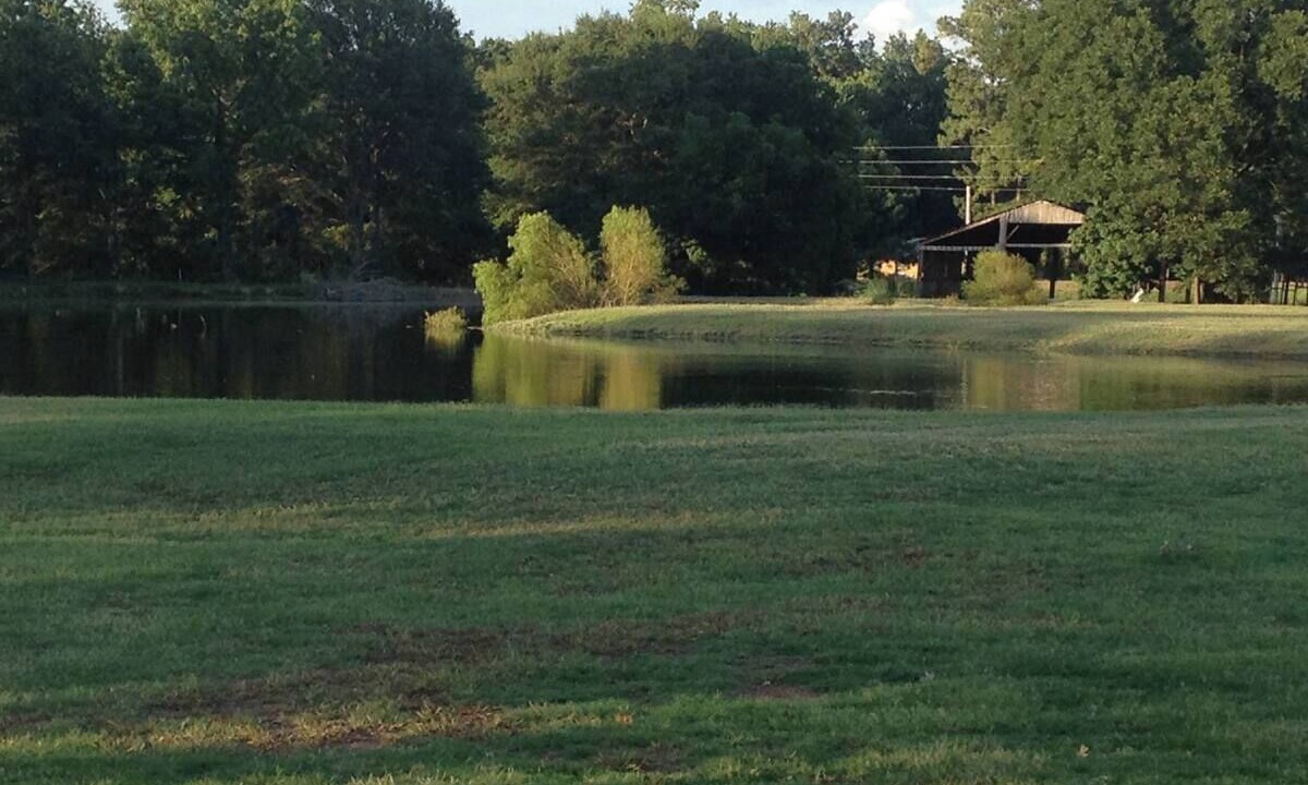 Photo of Others in La Grange