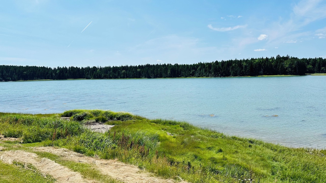 Photo of Outdoor in Roque Bluffs