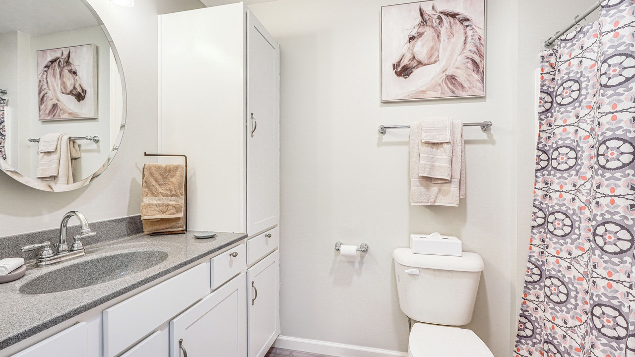 Photo of Bathroom in Lairdsville