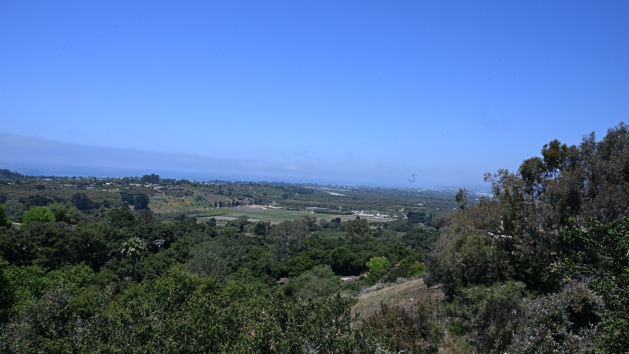 Photo of Others in Carpinteria