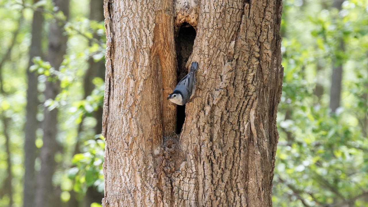 Photo of Others in Keene
