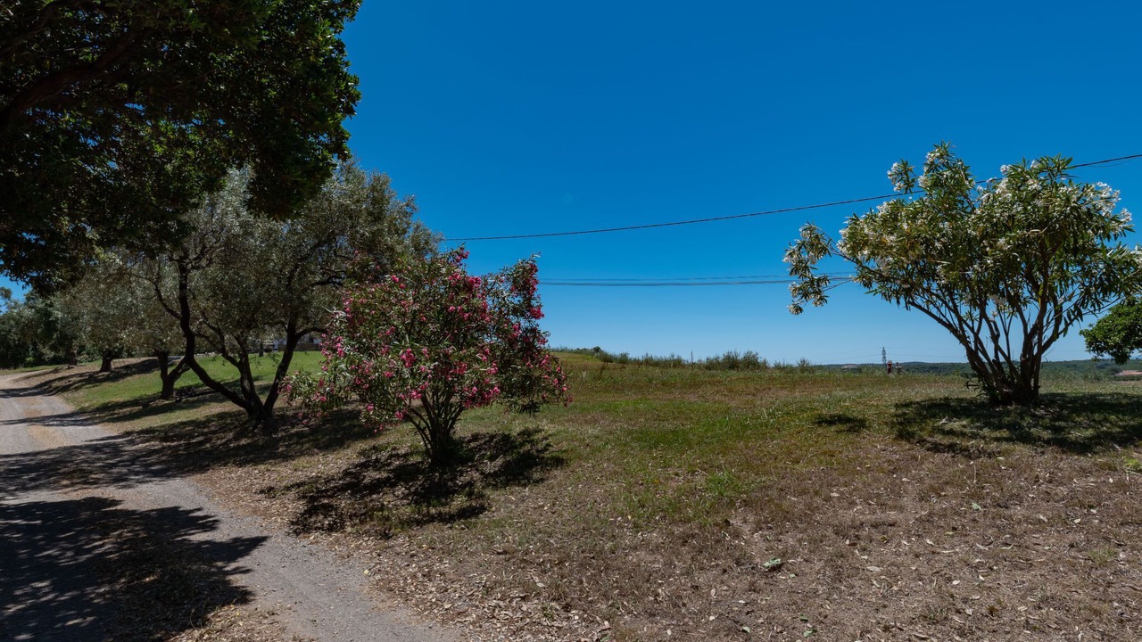 Photo of Outdoor in Cervione