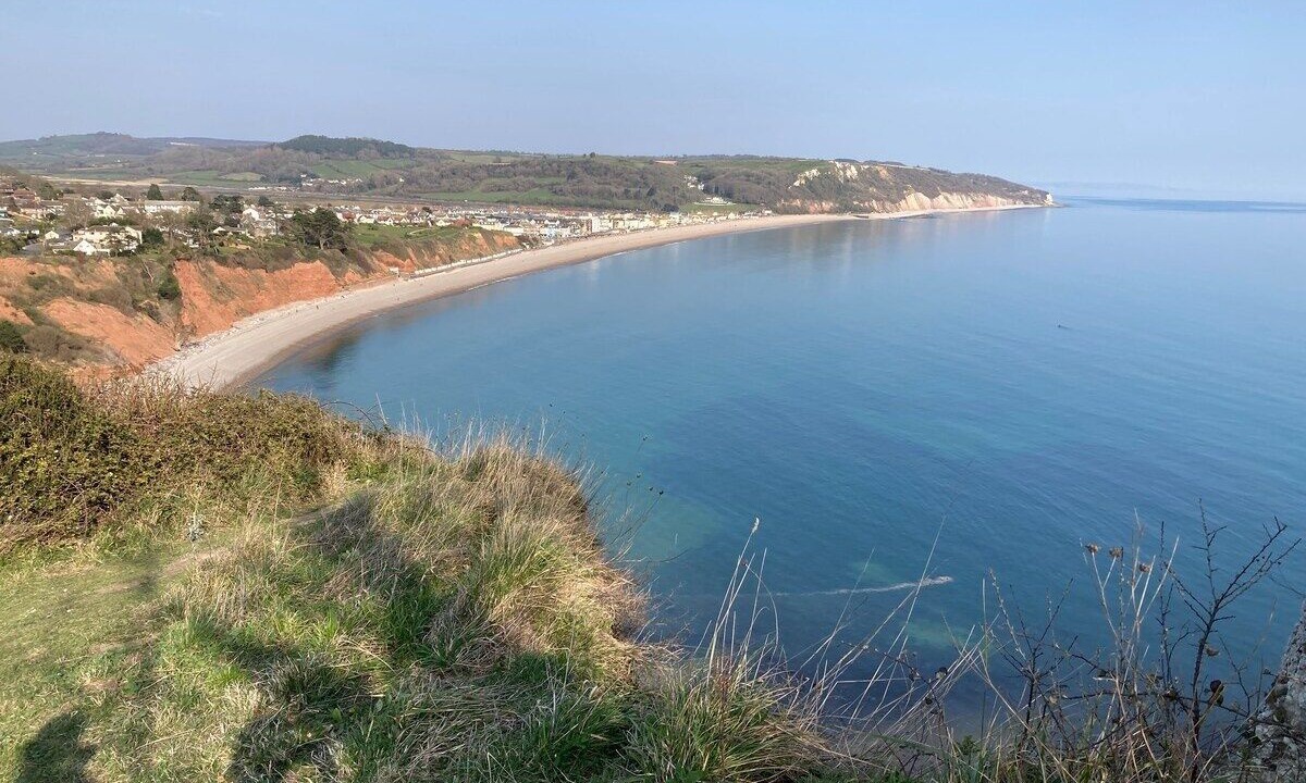 Photo of Others in Seaton