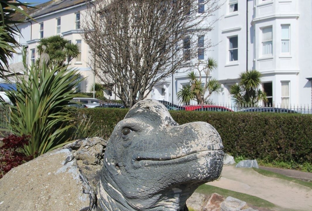 Photo of Outdoor in Seaton