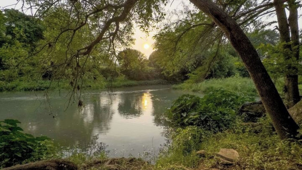Photo of Outdoor in Martindale