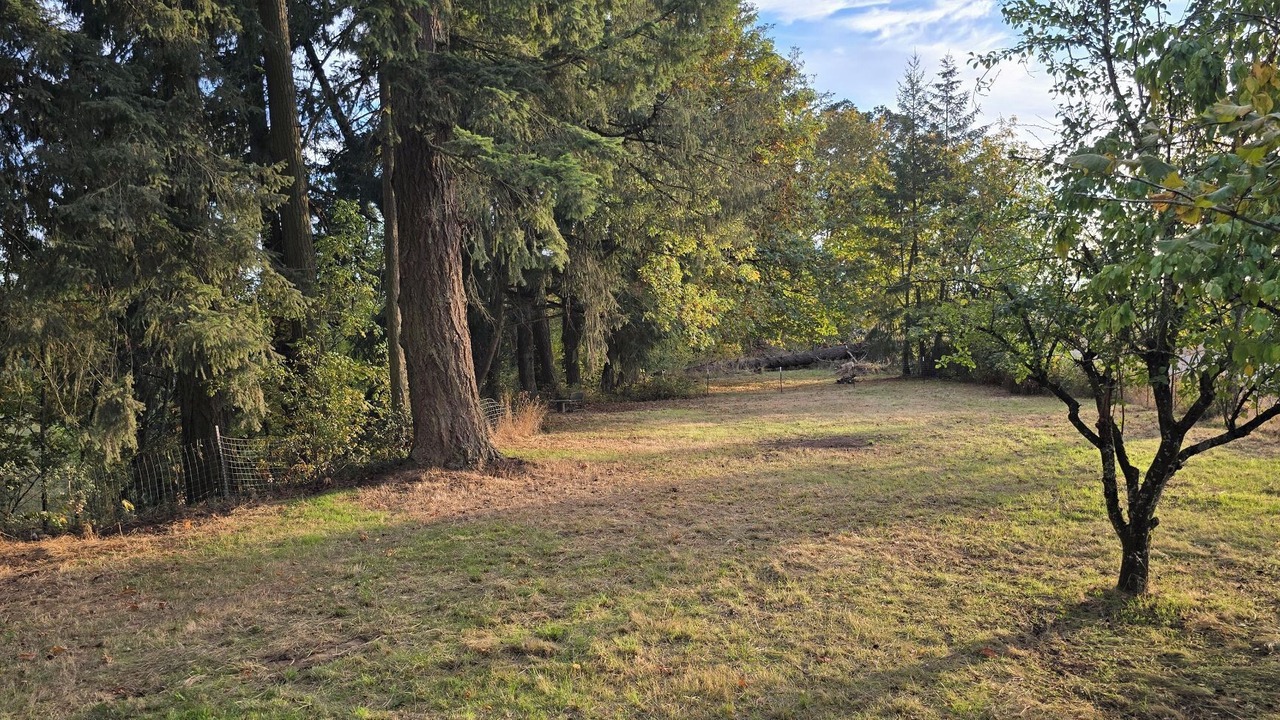 Photo of Others in Salem