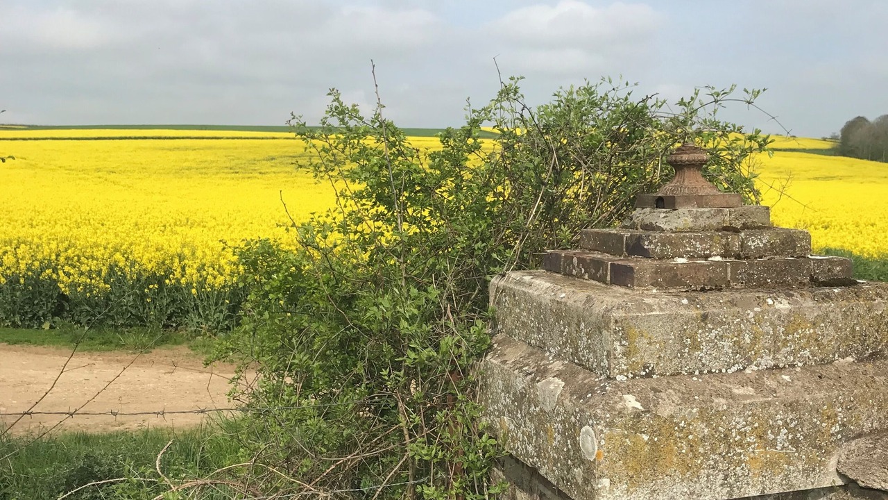 Photo of Outdoor in Rigny-le-Ferron