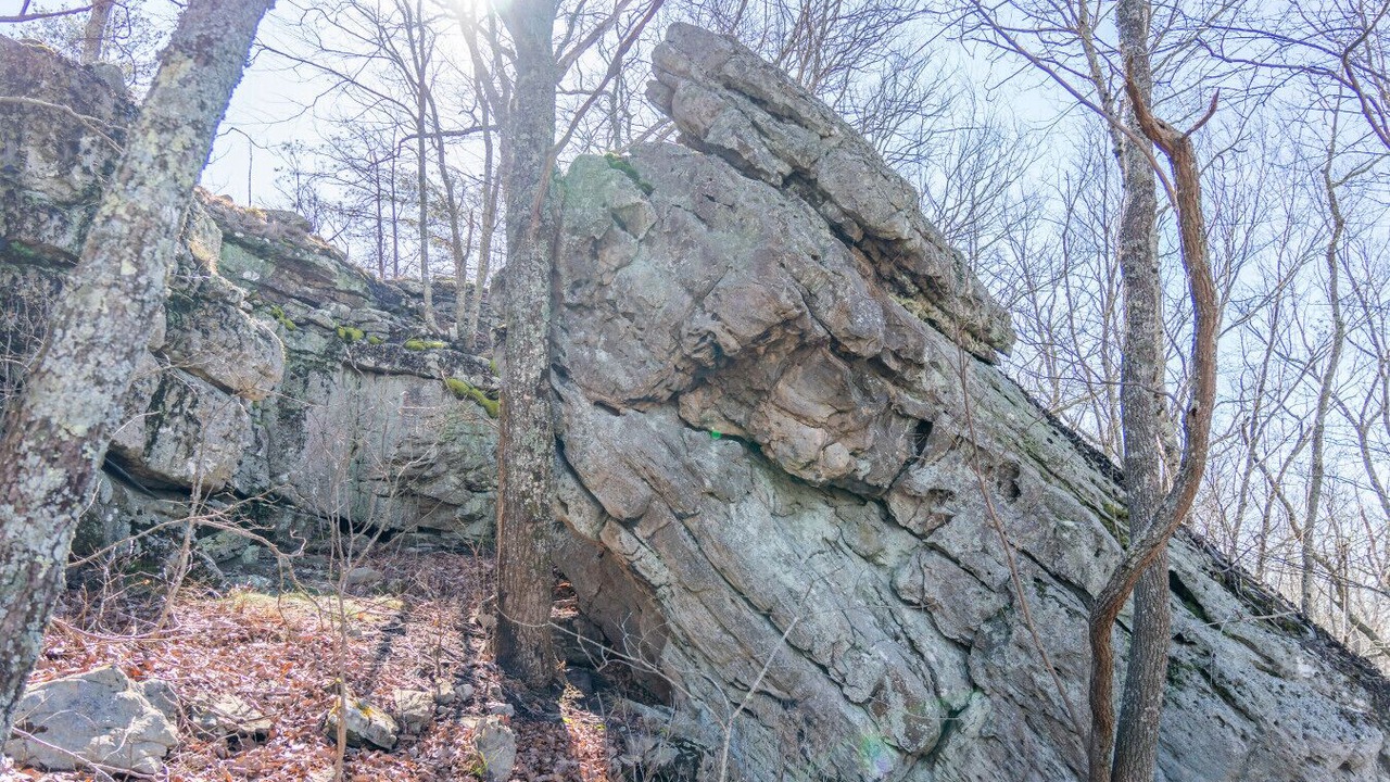 Photo of Others in Trenton