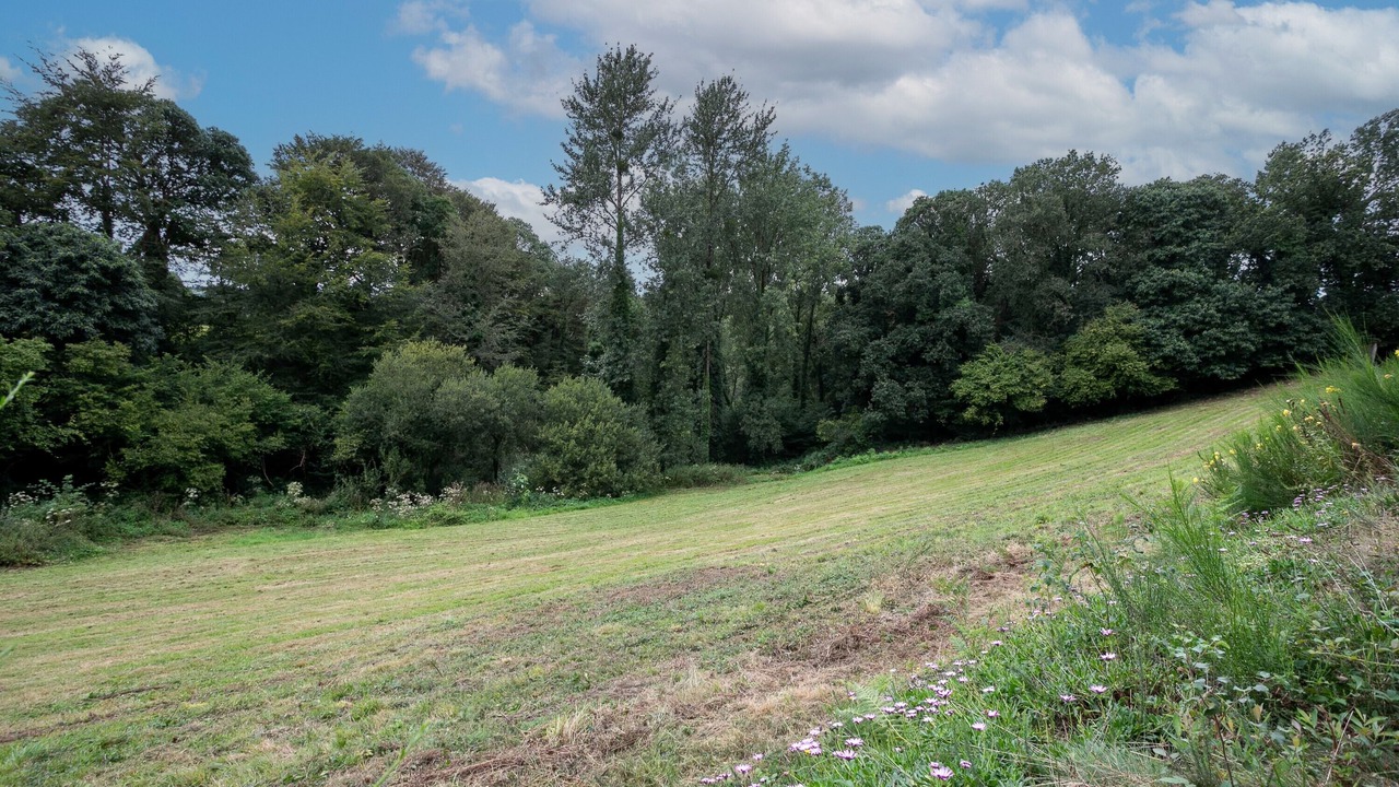 Photo of Others in Plouegat-Moysan