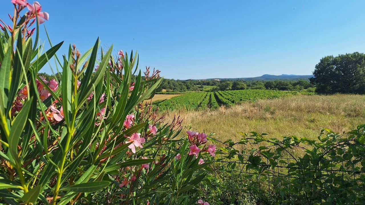 Photo of Outdoor in Barjac