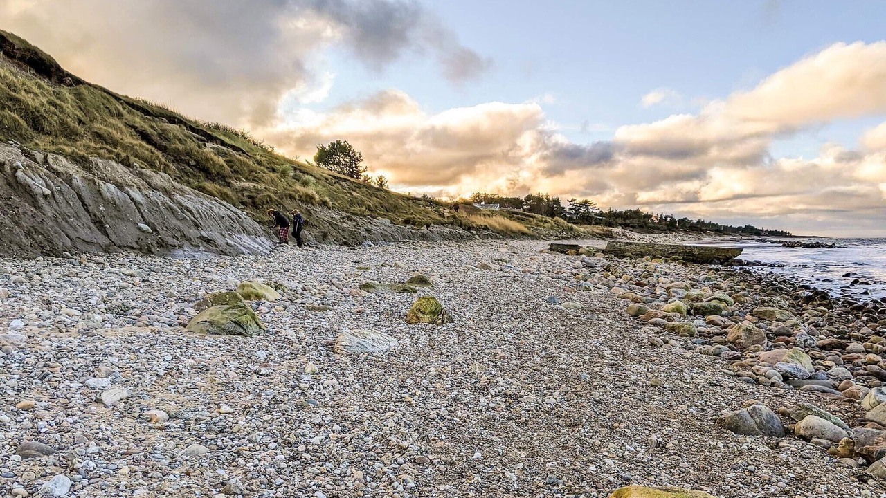 Photo of Others in Smidstrup Strand