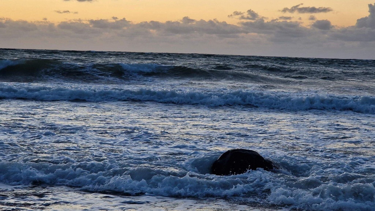 Photo of Others in Smidstrup Strand