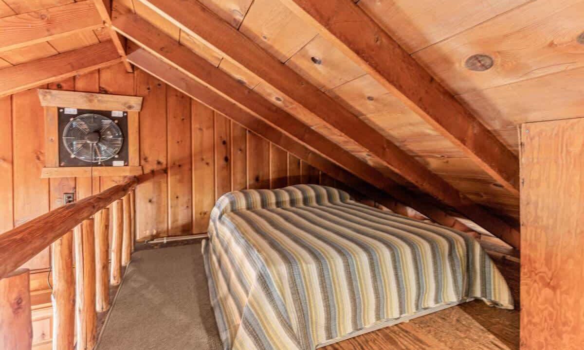 Photo of Others in Brill