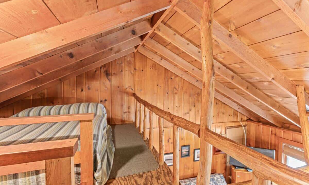 Photo of Others in Brill