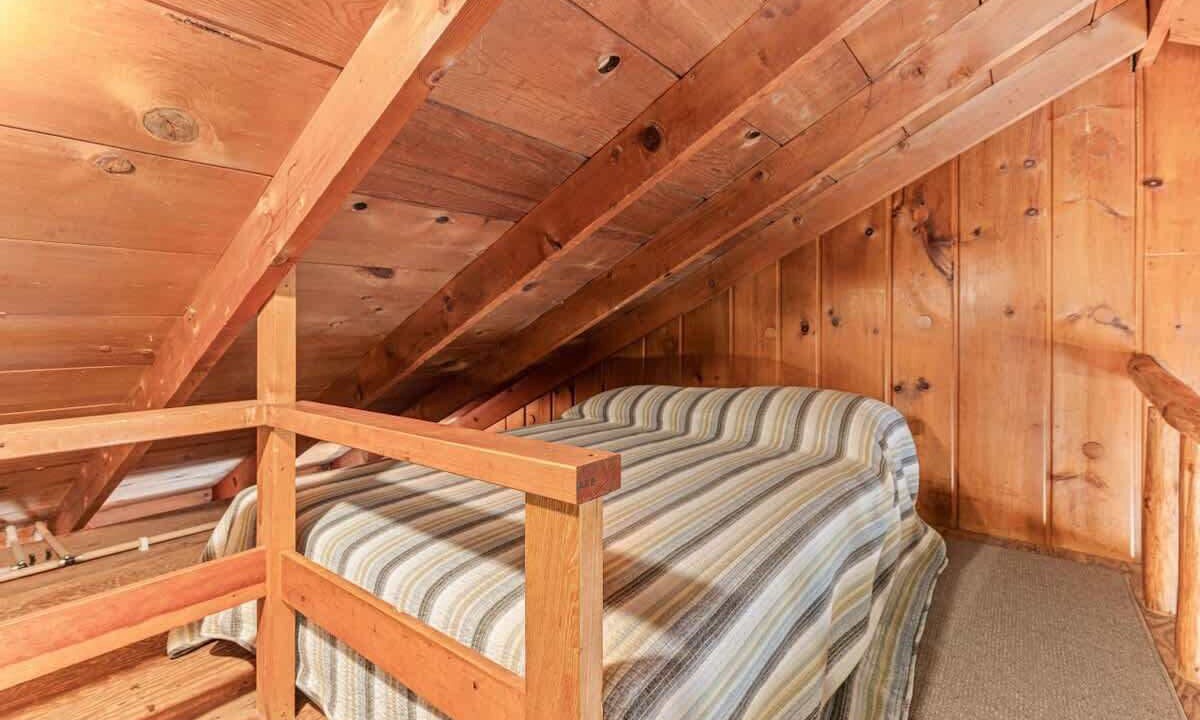 Photo of Others in Brill