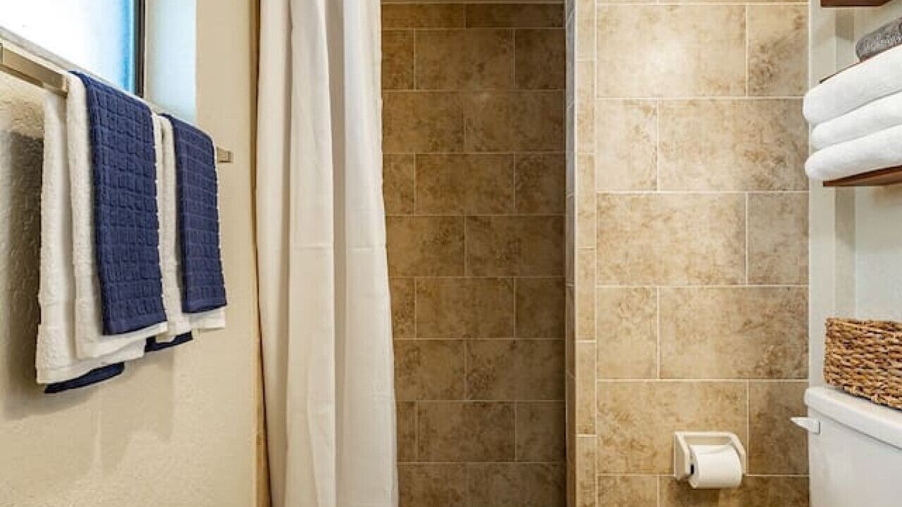 Photo of Bathroom in Dunedin