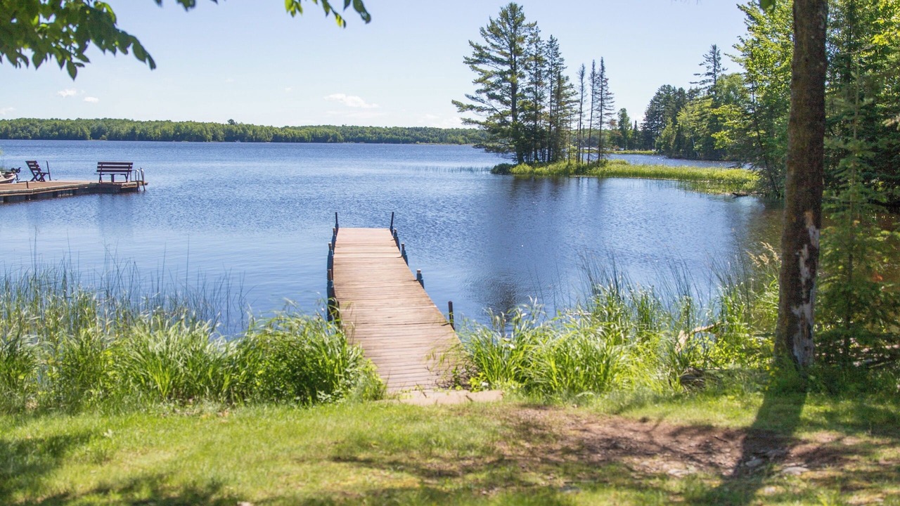 Photo of Outdoor in Butternut