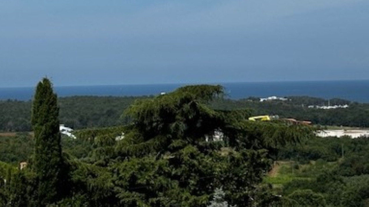 Photo of Others in Mugeba