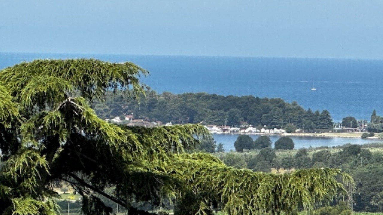 Photo of Others in Mugeba