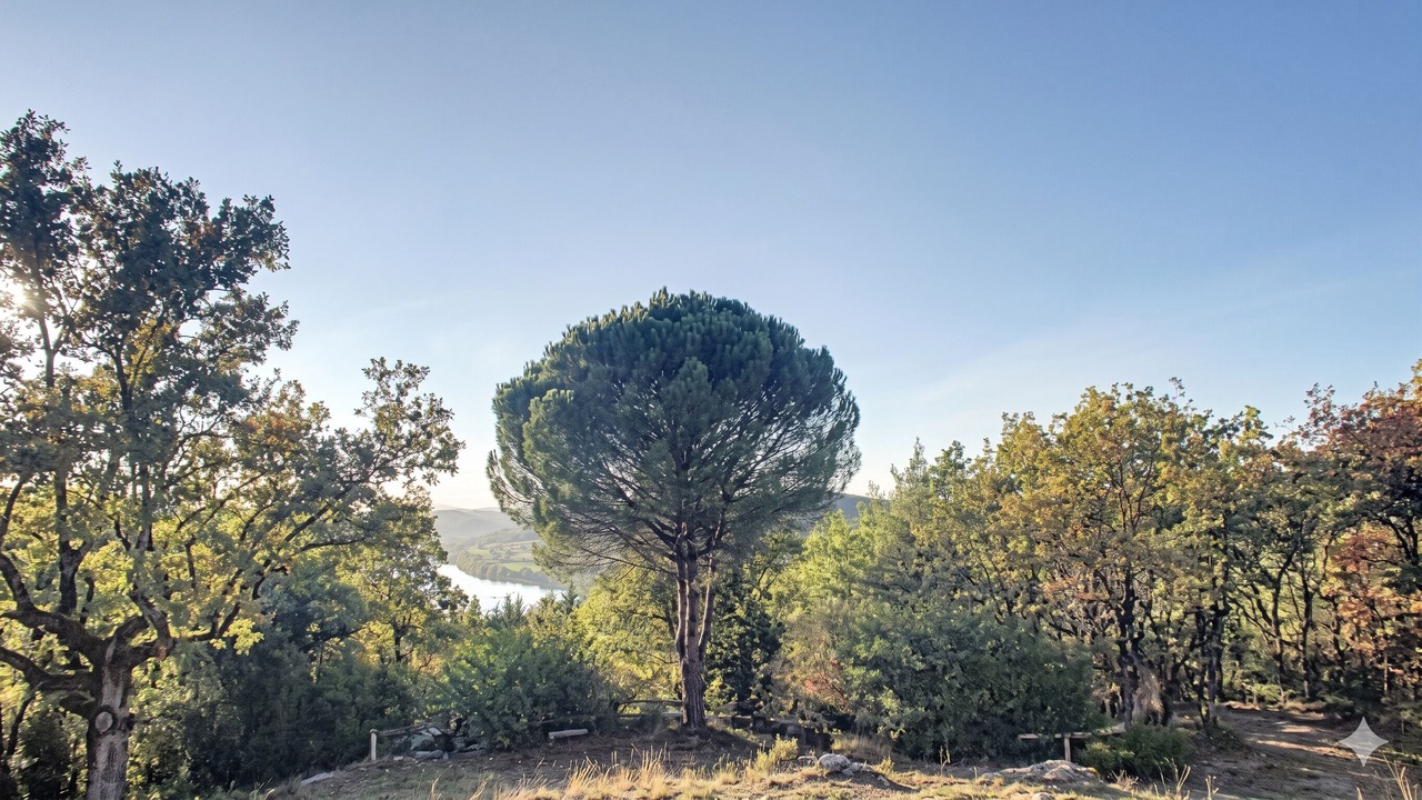 Photo of Outdoor in Lissac-sur-Couze